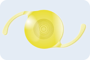 Vivinex Gemetric